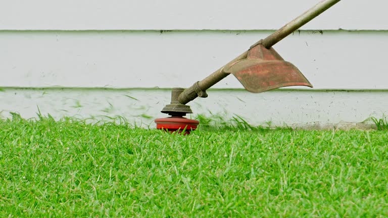 Best Leaf Removal  in Westmorland, CA