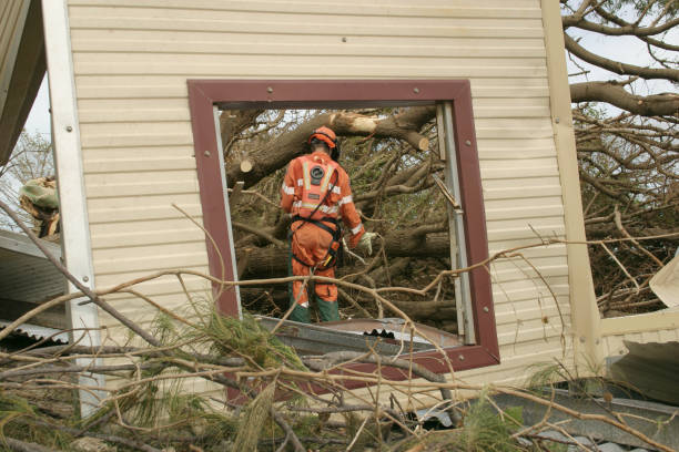 Westmorland, CA Tree Services Company