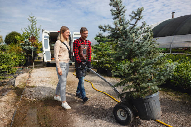 Best Artificial Turf Installation  in Westmorland, CA